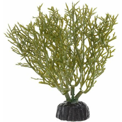 Растение для аквариума пластиковое Яванский мох зеленый, BARBUS, Plant 024 10 см искусственное растение barbus элодея 10 см зеленый