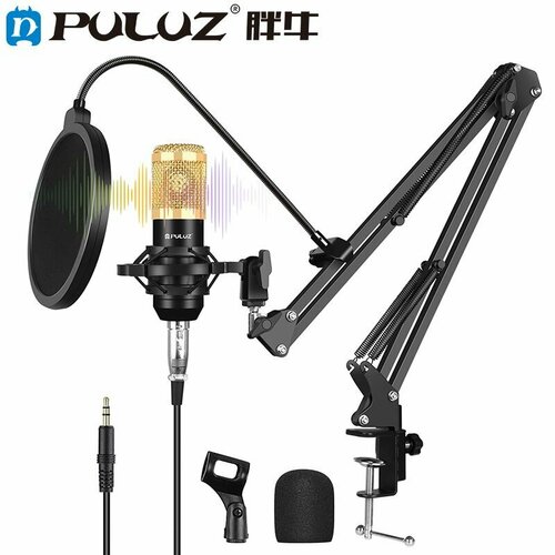 Конденсаторный студийный микрофон комплекты профессиональный поющий для студийного вещания с подвесным рычагом 399000₽