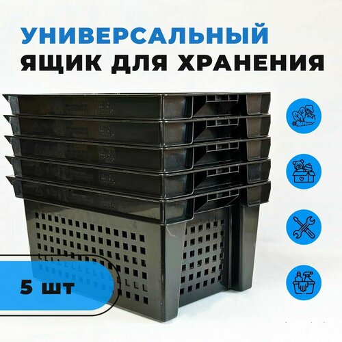 Ящик для хранения, сбора, транспортировки (комплект из 5 шт для овощей, фруктов, инструментов), универсальная садовая корзина (600х400х280), 50 л