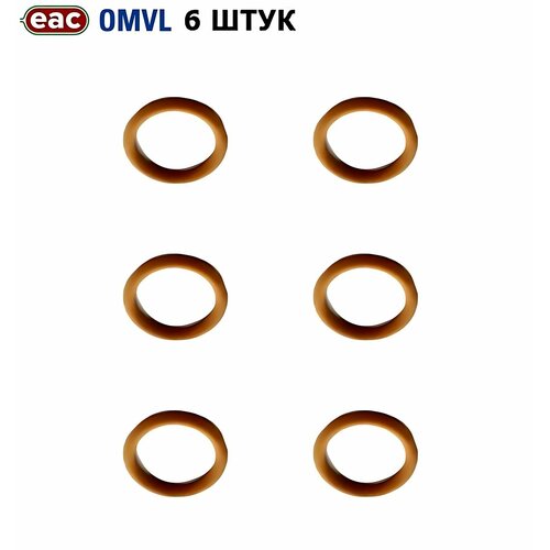 Кольцо форсунки ГБО OMVL Fast Light (6 штук)