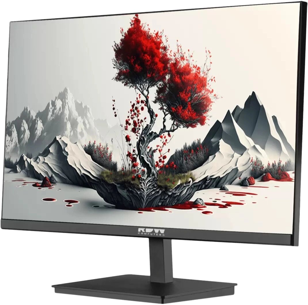 Монитор RDW Computers 23.8" 2401K черный IPS 4ms 16:9 HDMI M/M матовая HAS Piv 1000:1 250cd 1920x1080 VGA DP FHD (RUS)