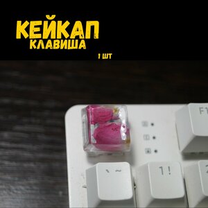 Основная фотография от вендора