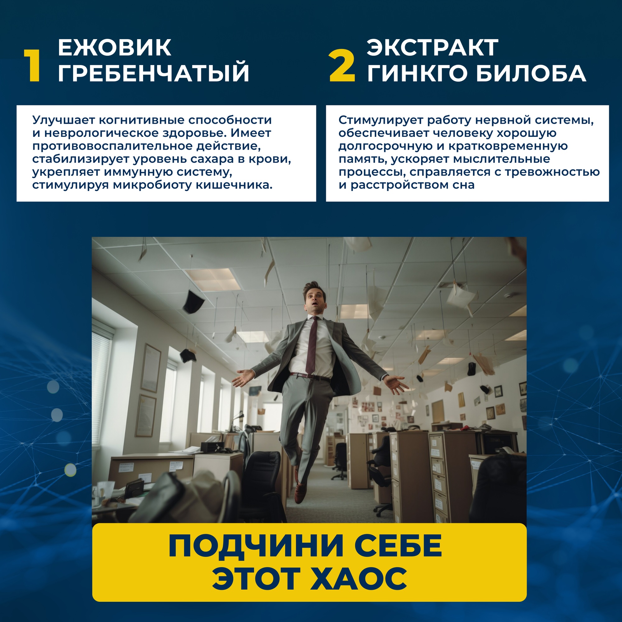 Иммуностимуляторы Гриб ежовик гребенчатый (мицелий) + гинкго билоба 120 капсул по 0.5 г./ нейрокомплекс, иммуностимулятор