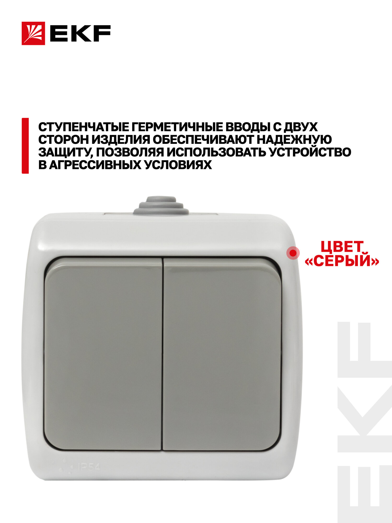 Выключатель двухклавишный накладной EKF 10А, IP54, уличный (под навесом) серый, коллекция Мурманск — фото 1