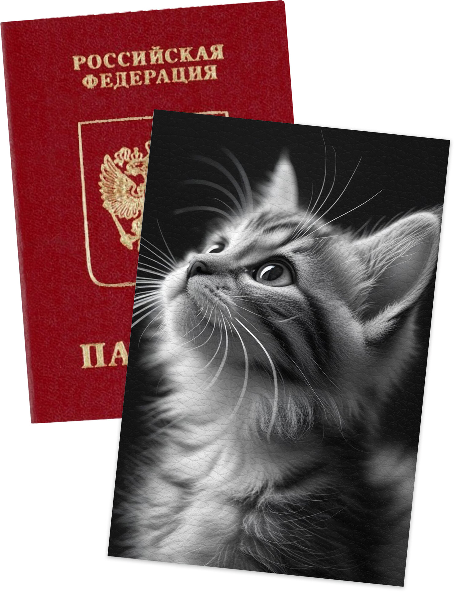 Обложка для паспорта NOOTO