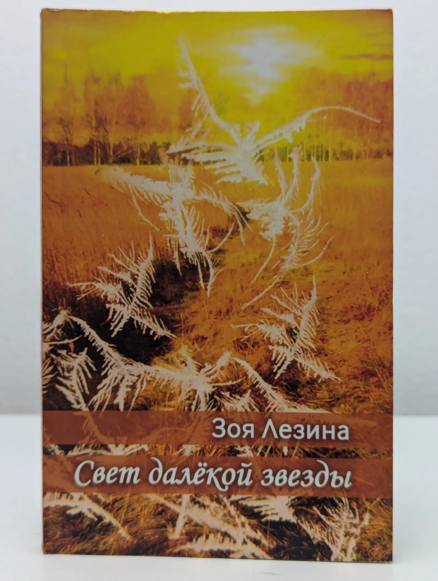 Свет далёкой звезды Лезина Зоя Марковна 2017
