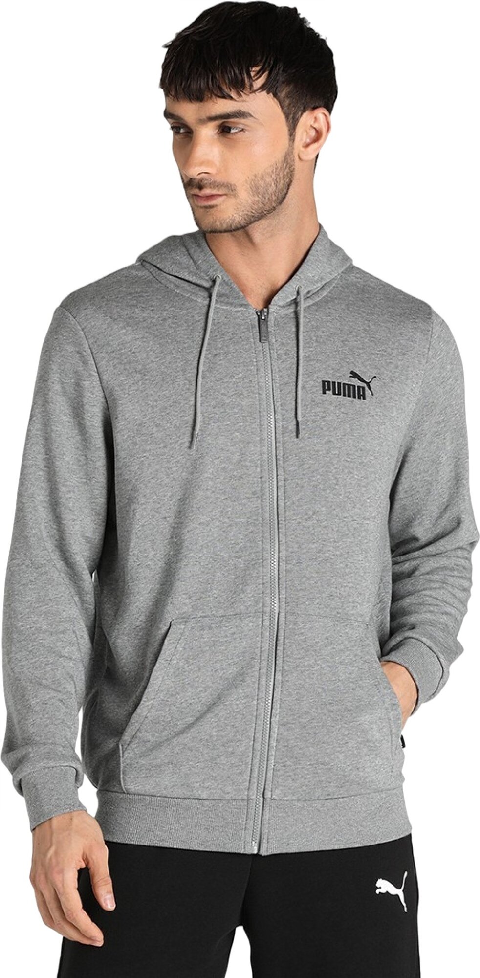 Толстовка спортивная PUMA Essentials Small Logo Full-Zip Men's Hoodie