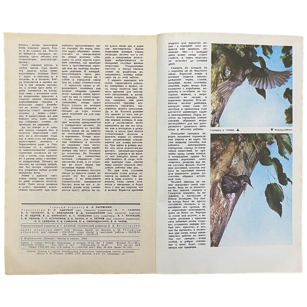 Журнал "Наука и жизнь" №3, март 1984 г. Издательство "Правда", Москва