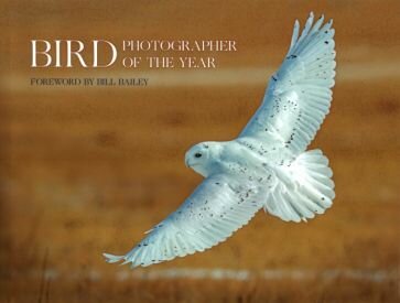 Bird Photographer of the Year - фото №1