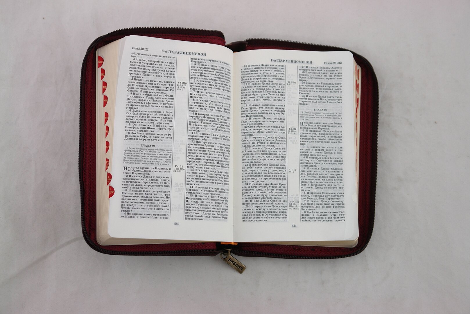 Библия (без неканонических книг) (047ZTIFIB) - фото №8