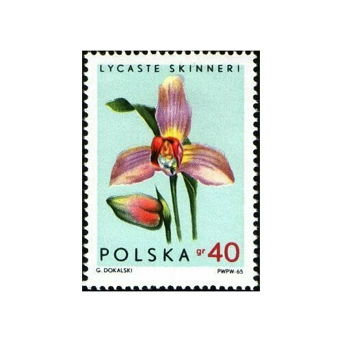 (1965-053) Марка Польша Ликаста Скиннера Орхидеи II Θ