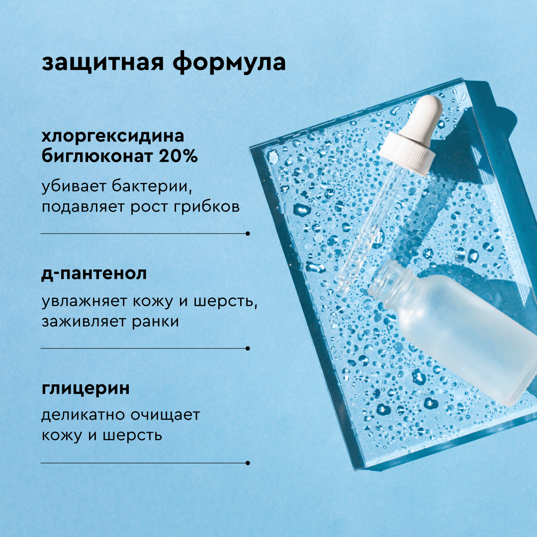 Шампунь для собак и кошек Pamilee с хлоргексидином 2%, антибактериальный, против зуда и запаха, 444 мл