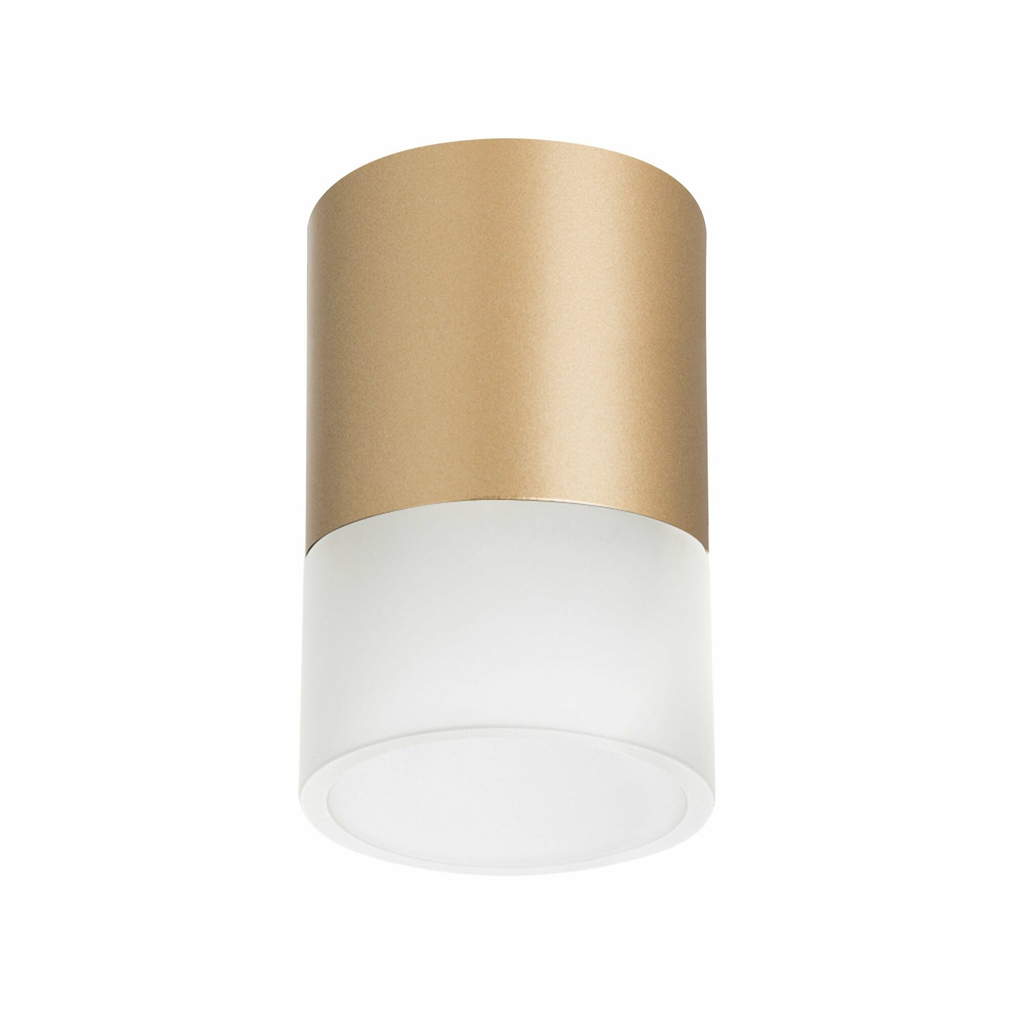 Потолочный светильник Lightstar Rullo, R349081, 220В, GX53, IP20