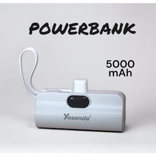 PowerCharge Duo Мини-зарядное устройство 5000 mAh с Type-C и Lightning Белого Цвета 149000₽