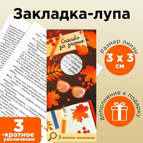 Закладка-лупа Спасибо за знания 3-кратное увеличение 477₽