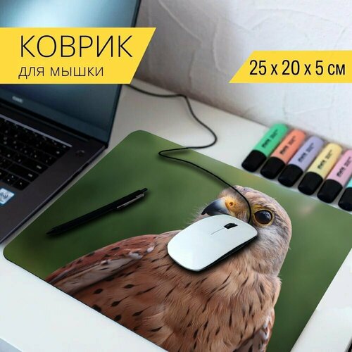 Коврик для мыши с принтом Пустельга, сокол, соколиная охота 25x20см. коврик для мыши с принтом мужчина пустельга пустельга мужчина 25x20см