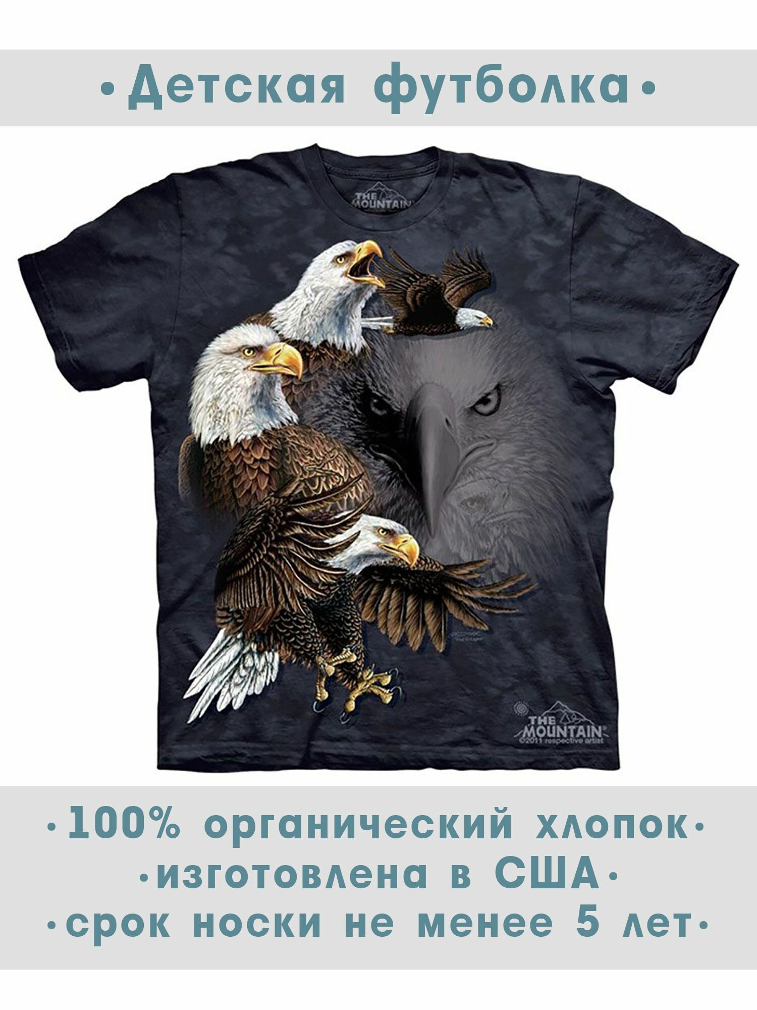 Футболка детская The Mountain "Find 10 Eagles"