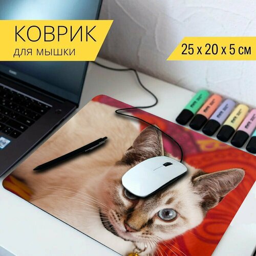 Коврик для мыши с принтом Кошка, кошачий, милый 25x20см. коврик для мыши с принтом кошка милый кошачий 25x20см