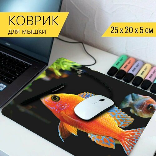 Коврик для мыши с принтом Fairy wrasse, губан, рыбы 25x20см.