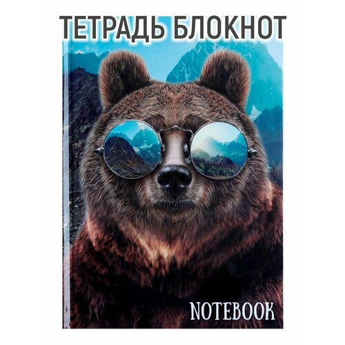 Колледж-тетрадь в твердой обложке 7БЦ, А5, 64 листа, Медведь в очках, блок в клетку, глянцевая ламинация