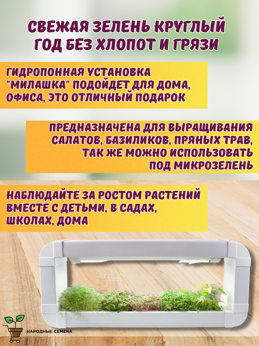Установки Гидропонные Гидропонная установка Милашка+компрессор для аэрации воды, стеллаж от Народные семена для выращивания микрозелени, салатов дома, в офисе, кафе