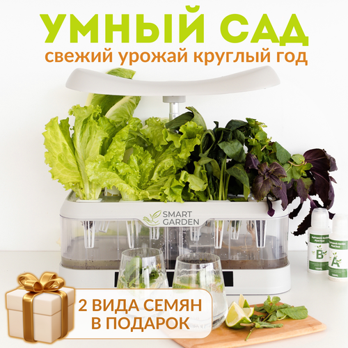 Настольная садовая ферма, Домашний смарт сад, Aqua Maxi, атман серый