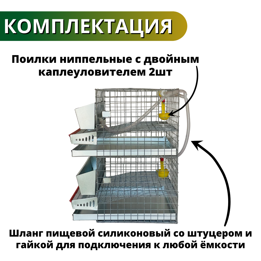 Клетка для перепелов на 30 голов, 2 яруса, Сельский дворик - фотография № 7