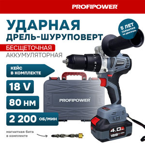 Фото Дрель-шуруповерт аккумуляторная PROFIPOWER MKDHP-18V E0087