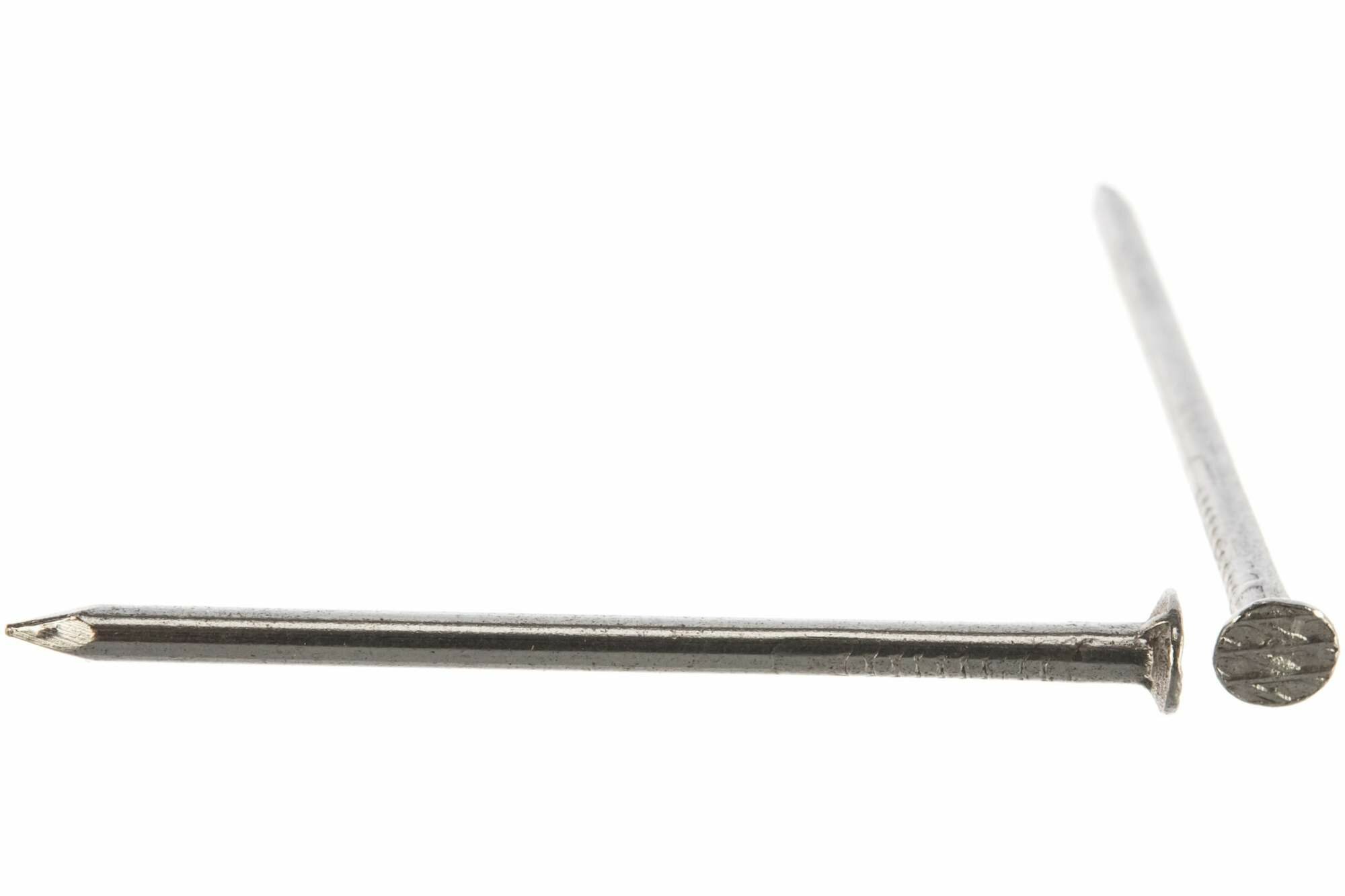 фото ЗУБР ГОСТ 4028-63 50 х 2.5 мм, строительные гвозди, 1 кг (305011-25-050)