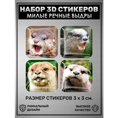 3D наклейки - стикеры / Набор объёмных наклеек 4 шт - Милые речные выдры