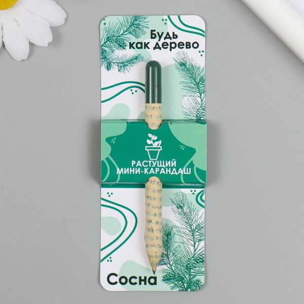 фото Растущие подарочные карандаши mini Будь как дерево "Сосна"