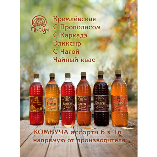 Комбуча 6 вкусов 1 л Чайный квас, на Чаге, Эликсир, с Каркадэ, с Прополисом, Кремлёвская. Промёд