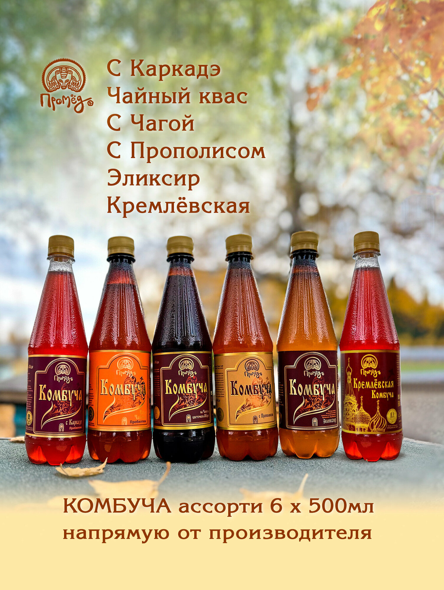 Комбуча 6 вкусов 0,5 л Чайный квас, на Чаге, Эликсир, с Каркадэ, с Прополисом, Кремлёвская. Промёд