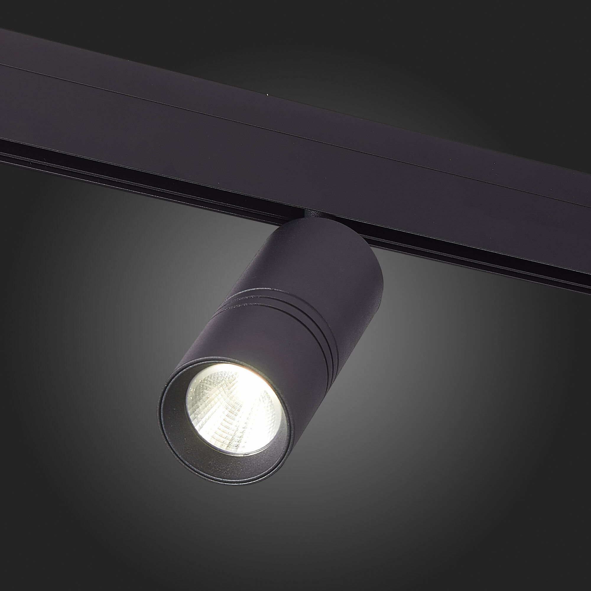 Магнитный трековый светильник St Luce LEMMI ST365.446.18 - фото №4