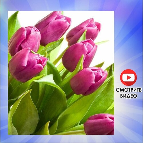 Алмазная мозаика 