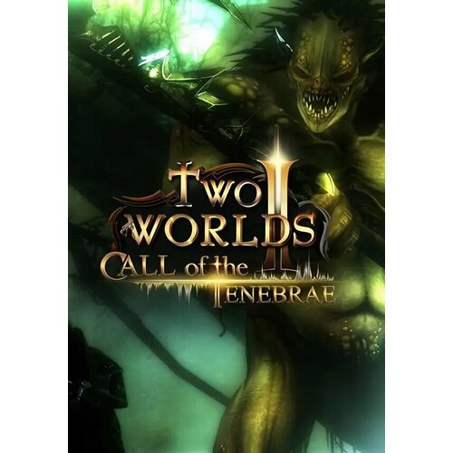 Two Worlds II HD - Call of the Tenebrae (Steam; PC; Регион активации Россия и СНГ)