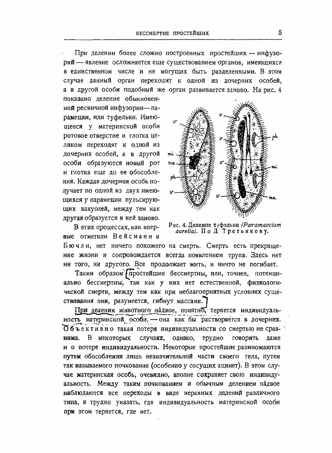 Книга Проблема Смерти и Бессмертия - фото №7