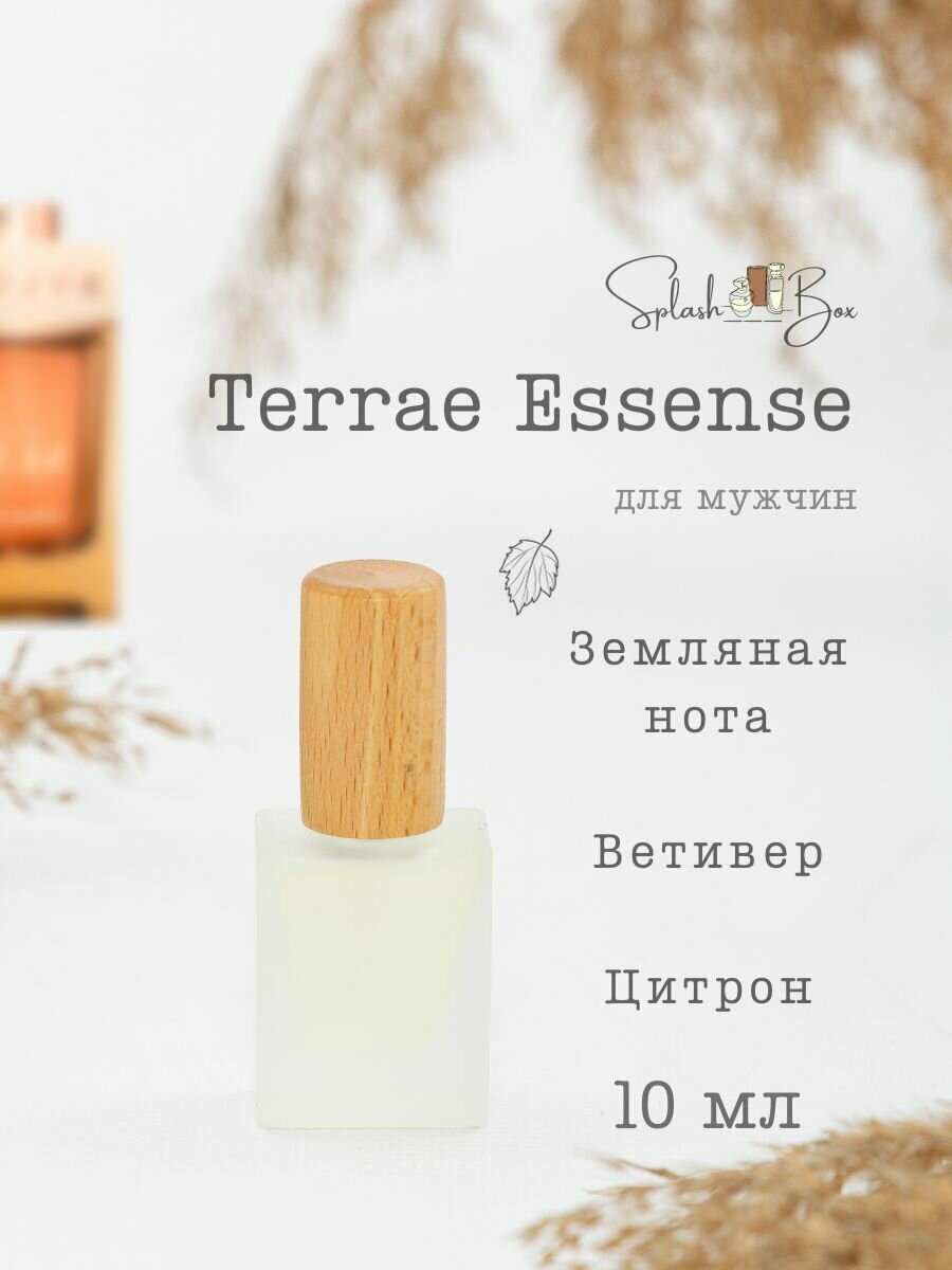 Man Terrae Essence духи стойкие