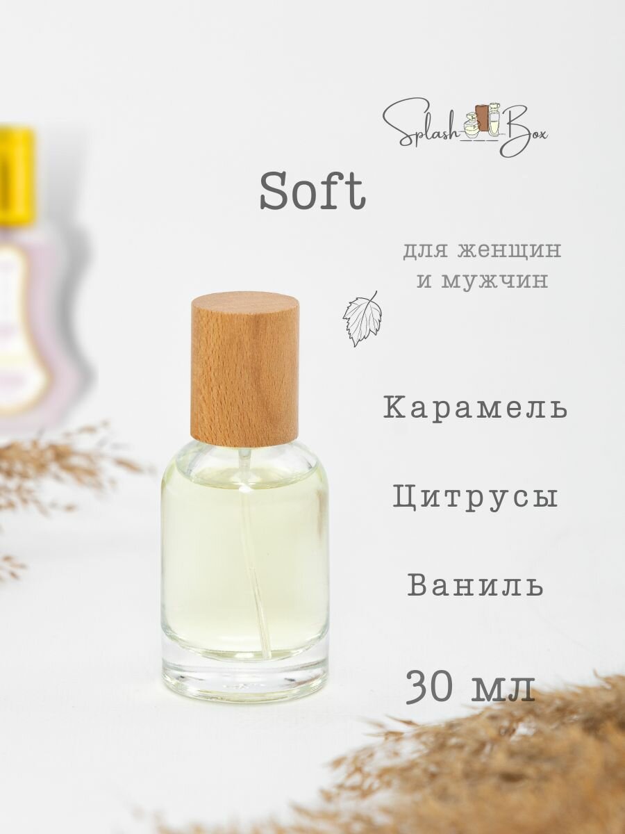 Soft духи стойкие