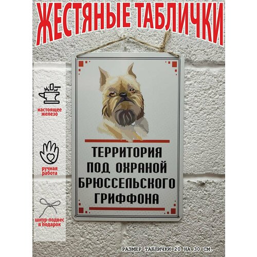 Территория под охраной брюссельского гриффона, табличка металлическая, картина на жести, декор интерьера, плакат, постер, подарок