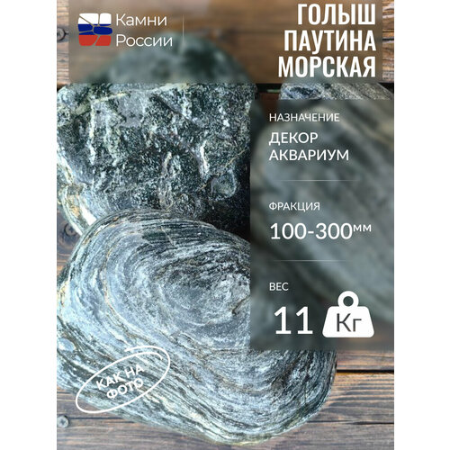 Грунт для аквариума, Голыш паутина морская,100-300мм,11 кг