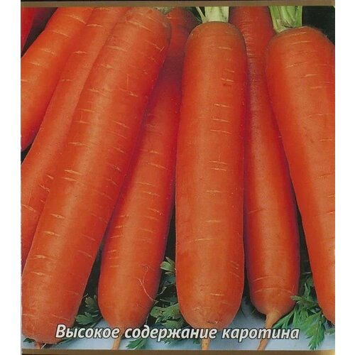 Коллекционные семена моркови Бейби F1
