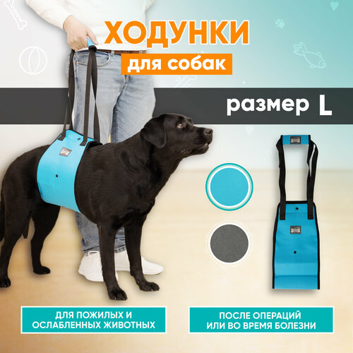 Задняя поддержка для собак, ходунки для животных Mr Dog голубая, L задняя поддержка для собак mr dog голубая m