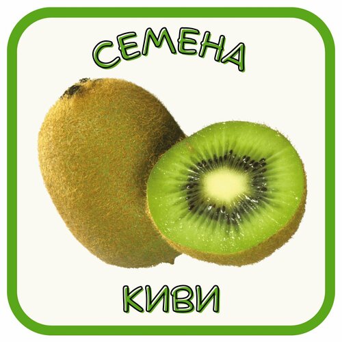 Киви. Семена киви