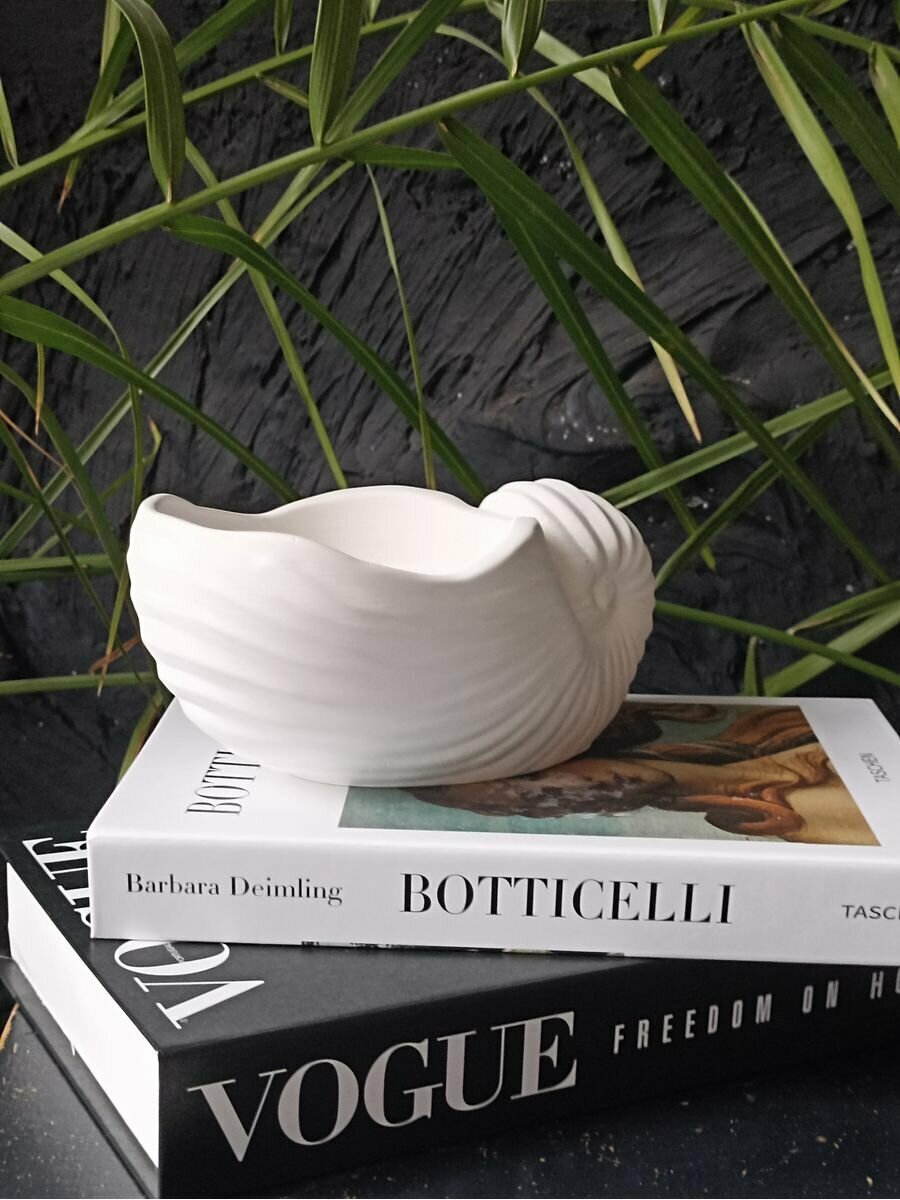 фото Статуэтка белая Наутилус