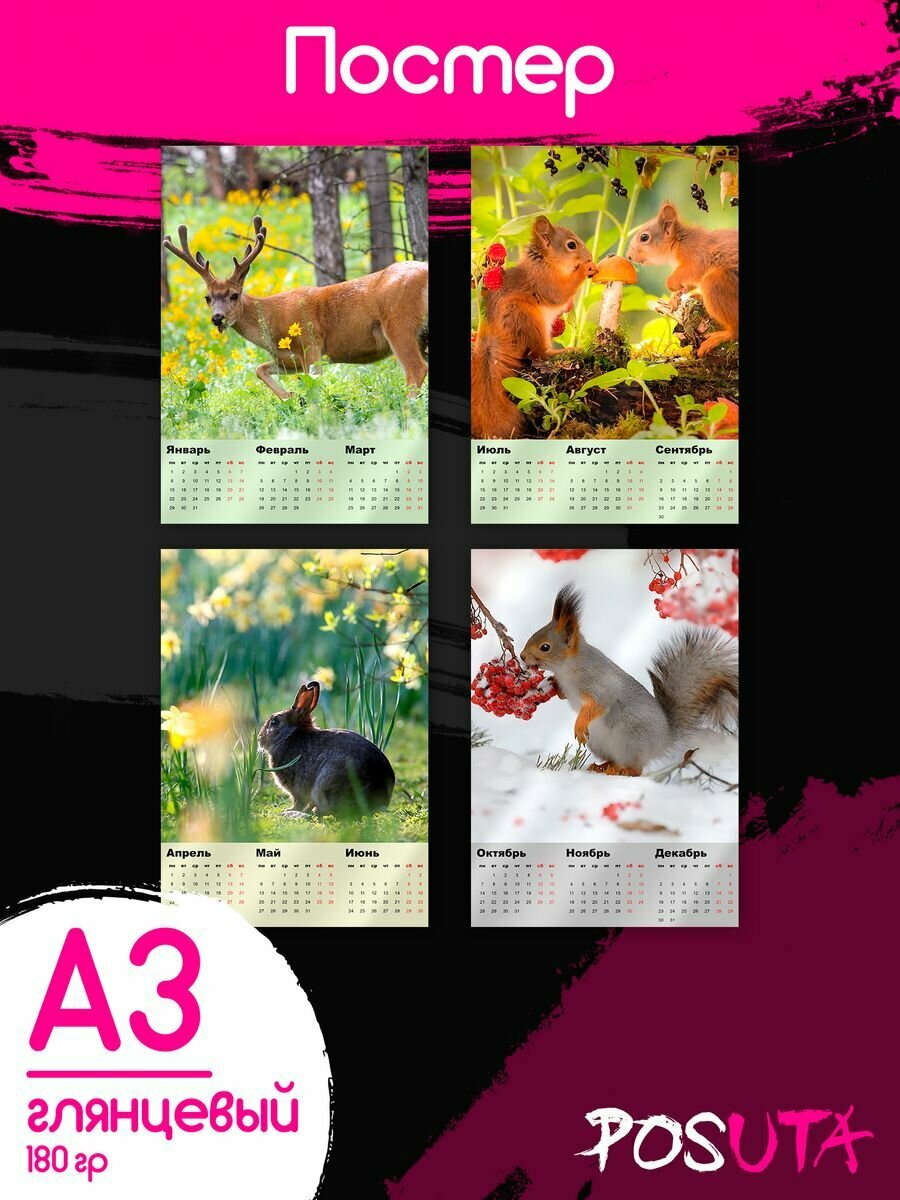 Постеры на стену с животными календарь 2024