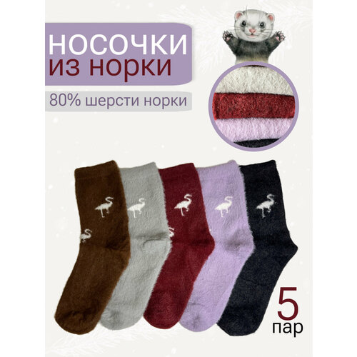 фото Носки миниbs, 140 den, 5 пар, размер 36-41, фиолетовый, серый, черный, красный, коричневый