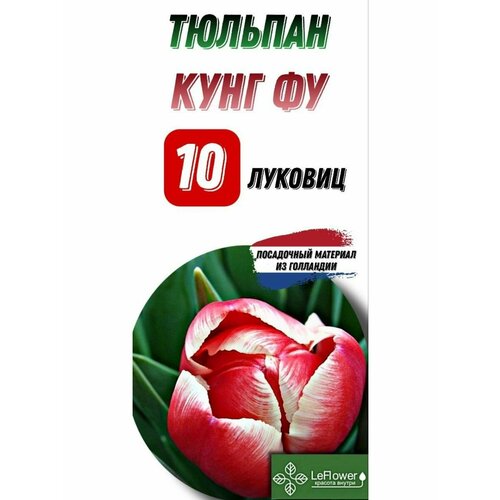 Тюльпан Луковица, Кунг Фу, 10шт тюльпан превосходящий шогун карликовый 10шт