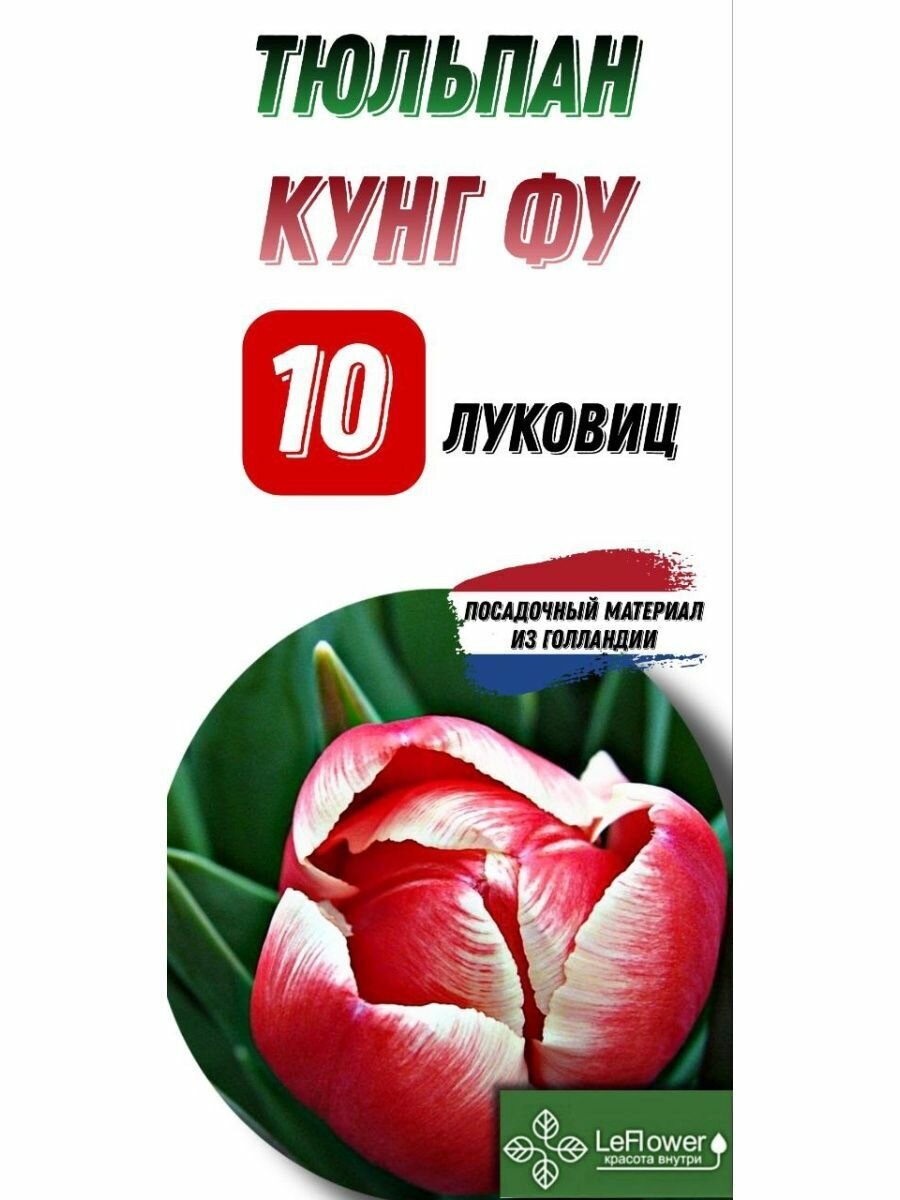 Тюльпан Луковица, Кунг Фу, 10шт (LeFlower) - фотография № 1