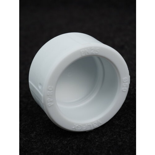 Заглушка полипропиленовая 50 HPP 1шт.